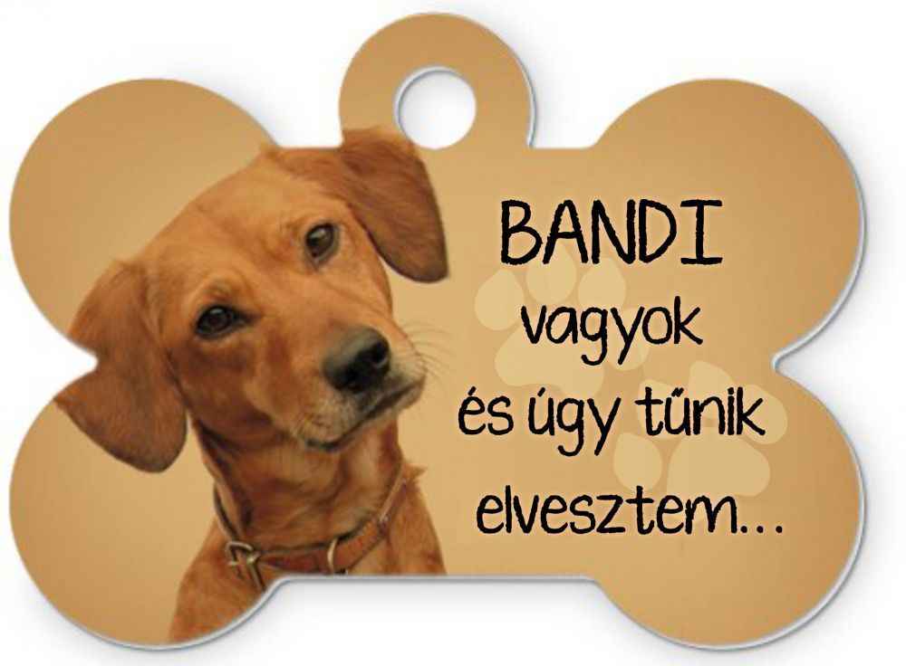 kutyabileta.jpg