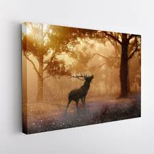 Vászonkép készítés - 60x40cm