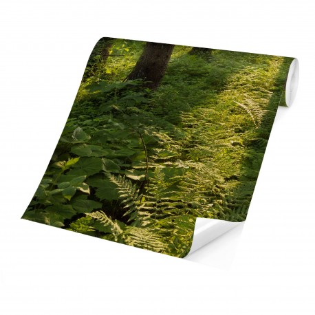 Kollázs poszter készítés - (Öntapadós)