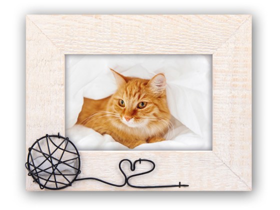 ZEP WS2264 Molly 10*15